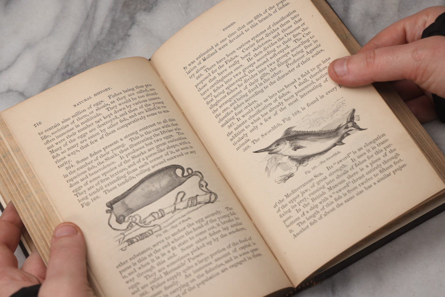 Lot 070 - "Natural History" Antique Zoology Book By Worthington Hooker, M.D., Illustrated With Nearly 300 Engravings, Published By Harper & Brothers, New York, 1870