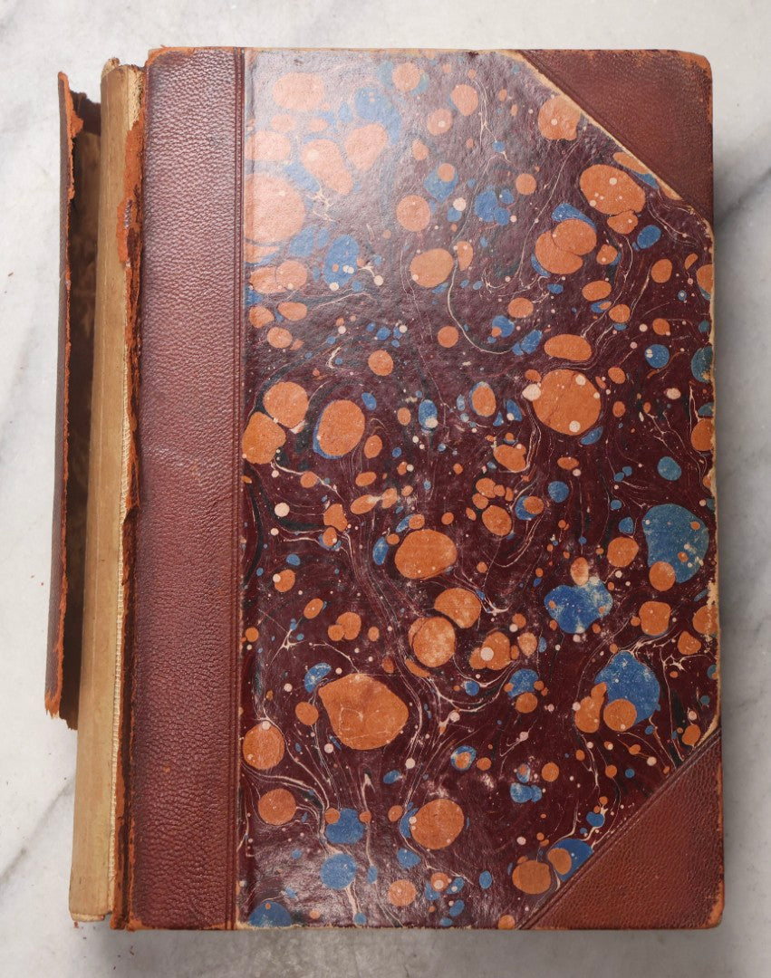 Lot 071 - “The Evolution Of Man,” Antique Illustrated Biology Book, Volume II, By Ernst Haeckel, D. Appleton And Company, New York, 1897