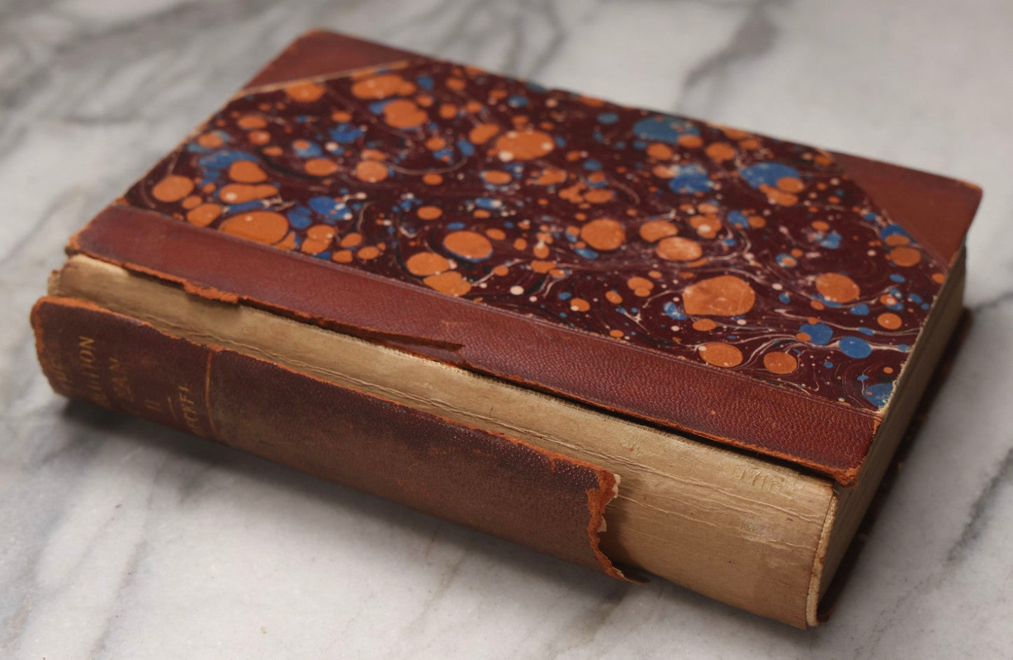 Lot 071 - “The Evolution Of Man,” Antique Illustrated Biology Book, Volume II, By Ernst Haeckel, D. Appleton And Company, New York, 1897