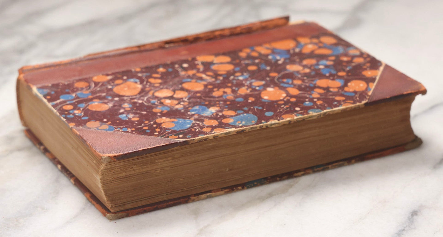 Lot 071 - “The Evolution Of Man,” Antique Illustrated Biology Book, Volume II, By Ernst Haeckel, D. Appleton And Company, New York, 1897