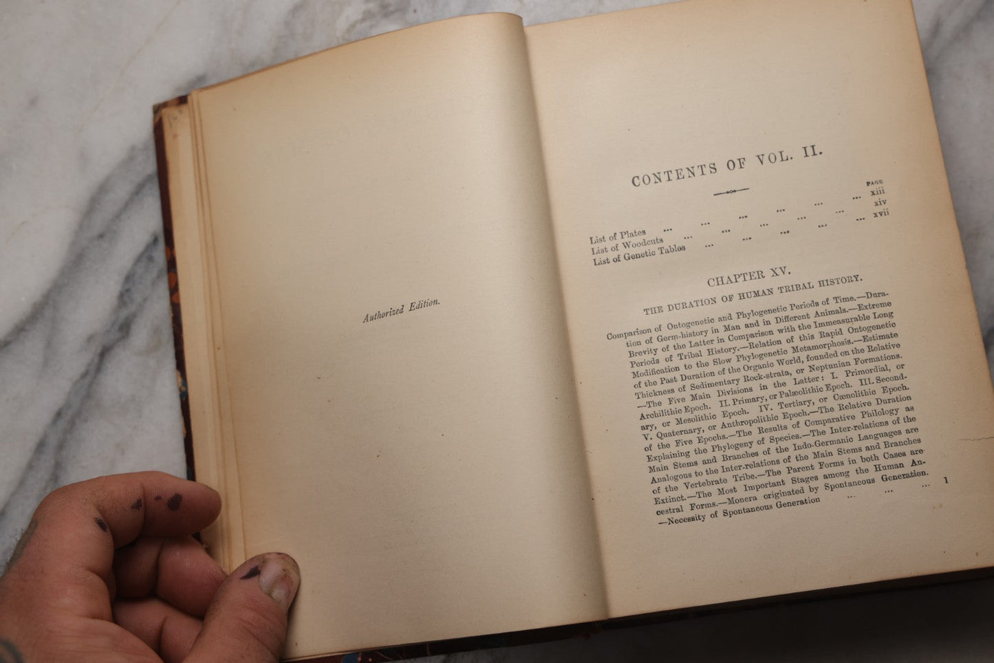 Lot 071 - “The Evolution Of Man,” Antique Illustrated Biology Book, Volume II, By Ernst Haeckel, D. Appleton And Company, New York, 1897