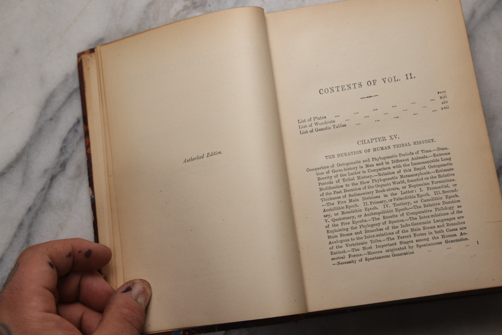 Lot 071 - “The Evolution Of Man,” Antique Illustrated Biology Book, Volume II, By Ernst Haeckel, D. Appleton And Company, New York, 1897