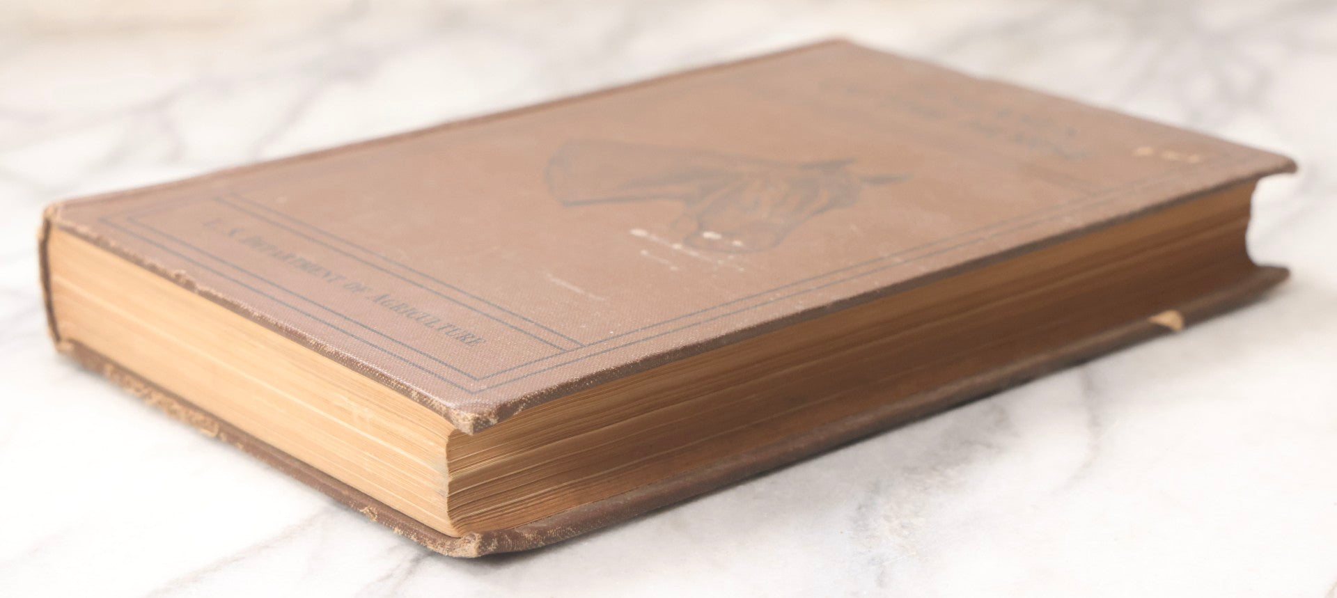 Lot 072 - "Diseases Of The Horse" Antique Veterinary Reference Book, U.S. Department Of Agriculture, Bureau Of Animal Industry, Government Printing Office, Washington, 1923