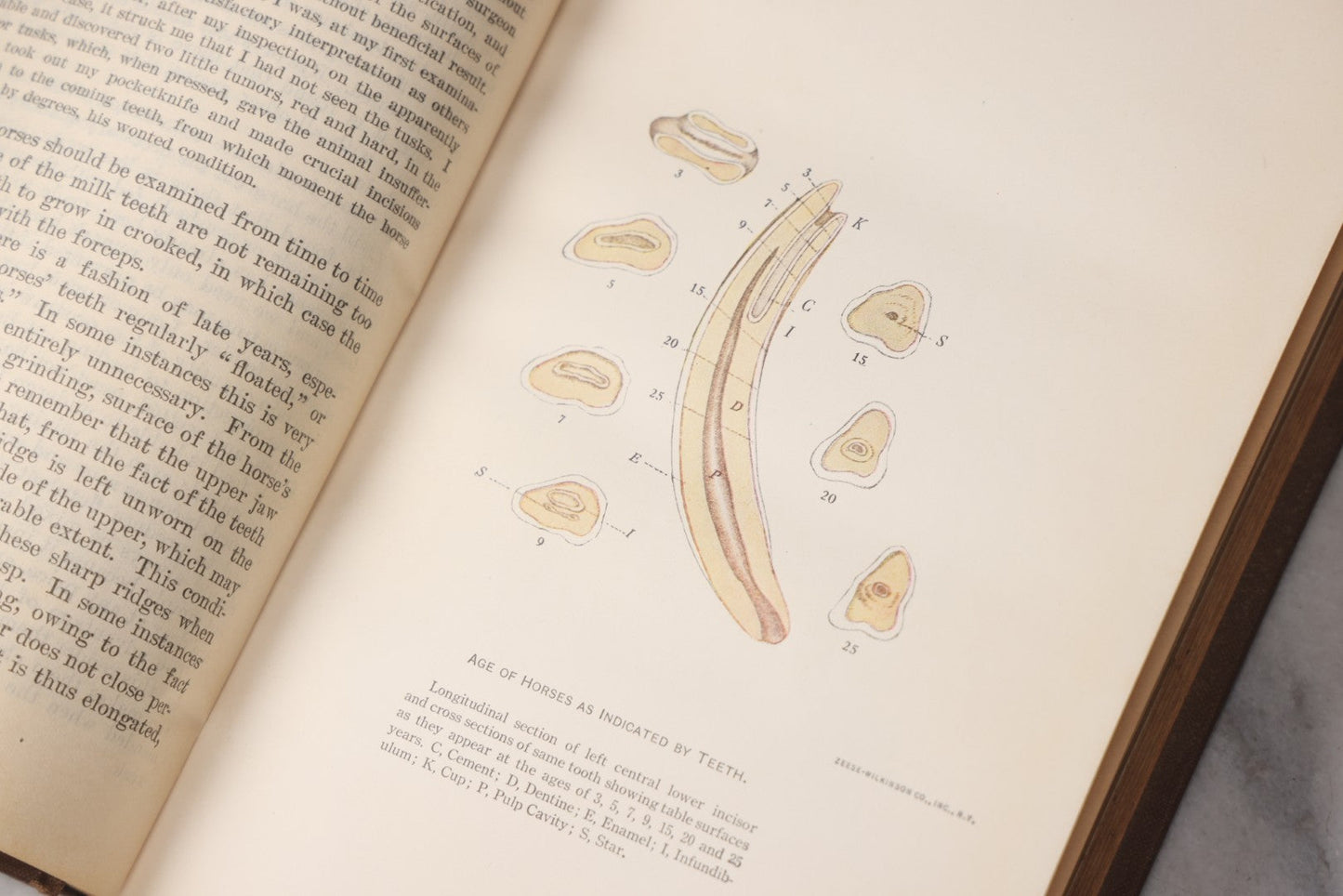 Lot 072 - "Diseases Of The Horse" Antique Veterinary Reference Book, U.S. Department Of Agriculture, Bureau Of Animal Industry, Government Printing Office, Washington, 1923