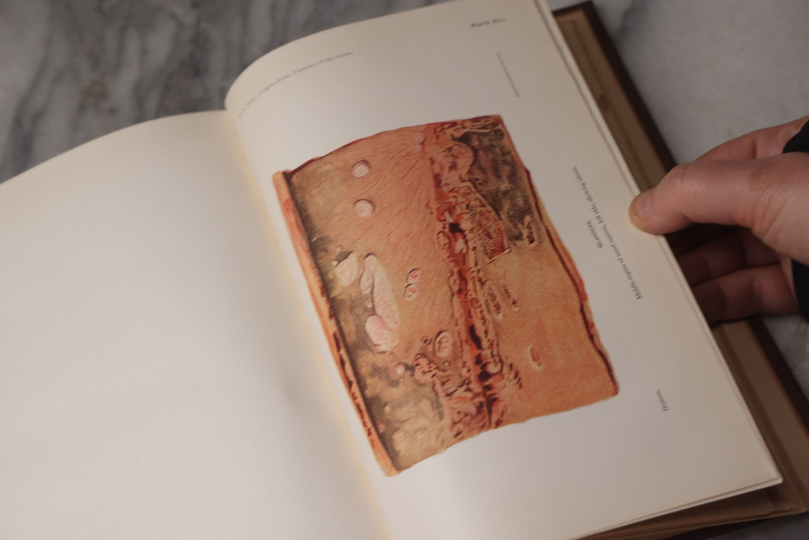 Lot 072 - "Diseases Of The Horse" Antique Veterinary Reference Book, U.S. Department Of Agriculture, Bureau Of Animal Industry, Government Printing Office, Washington, 1923