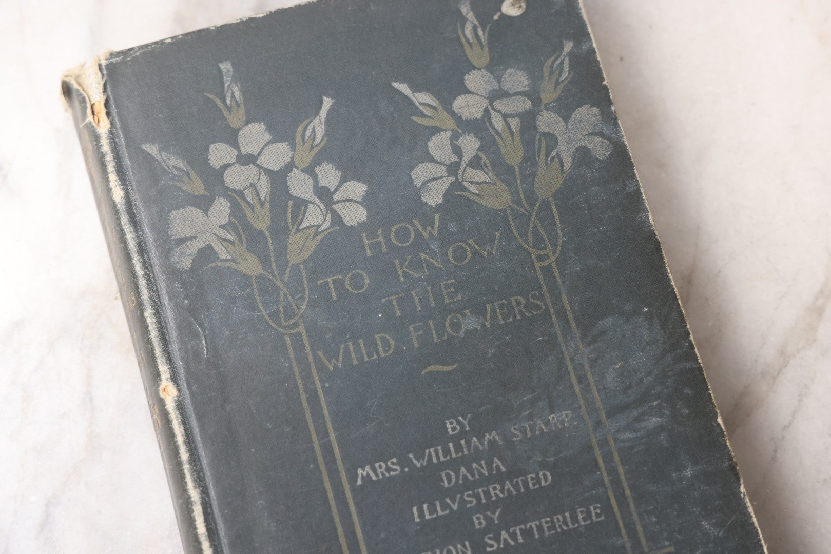 Lot 073 - "How To Know The Wild Flowers" Antique Botanical Field Guide By Mrs. William Starr Dana, Illustrated By Marion Satterlee, Published By Charles Scribner's Sons, New York, 1894