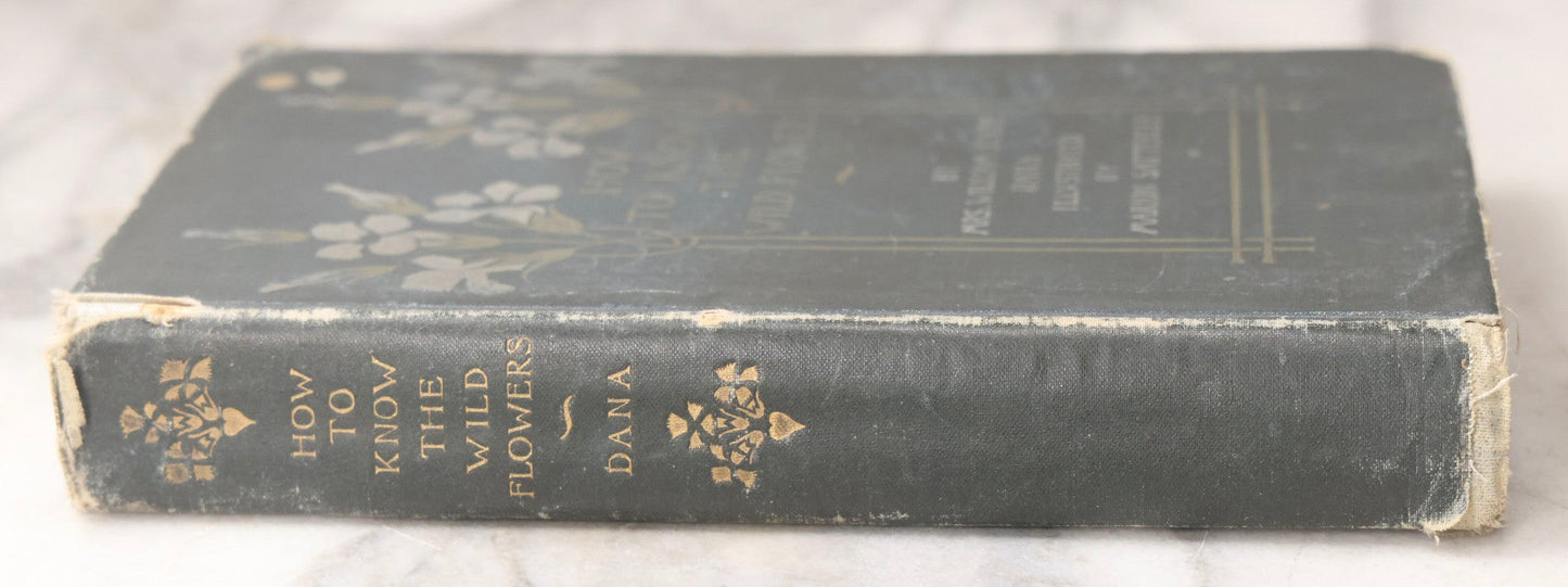 Lot 073 - "How To Know The Wild Flowers" Antique Botanical Field Guide By Mrs. William Starr Dana, Illustrated By Marion Satterlee, Published By Charles Scribner's Sons, New York, 1894