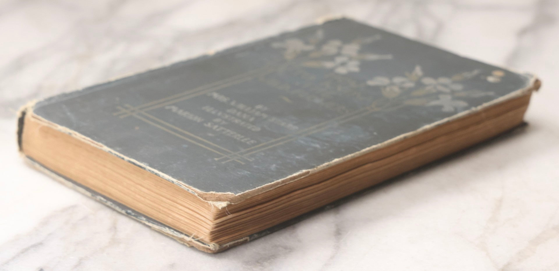 Lot 073 - "How To Know The Wild Flowers" Antique Botanical Field Guide By Mrs. William Starr Dana, Illustrated By Marion Satterlee, Published By Charles Scribner's Sons, New York, 1894