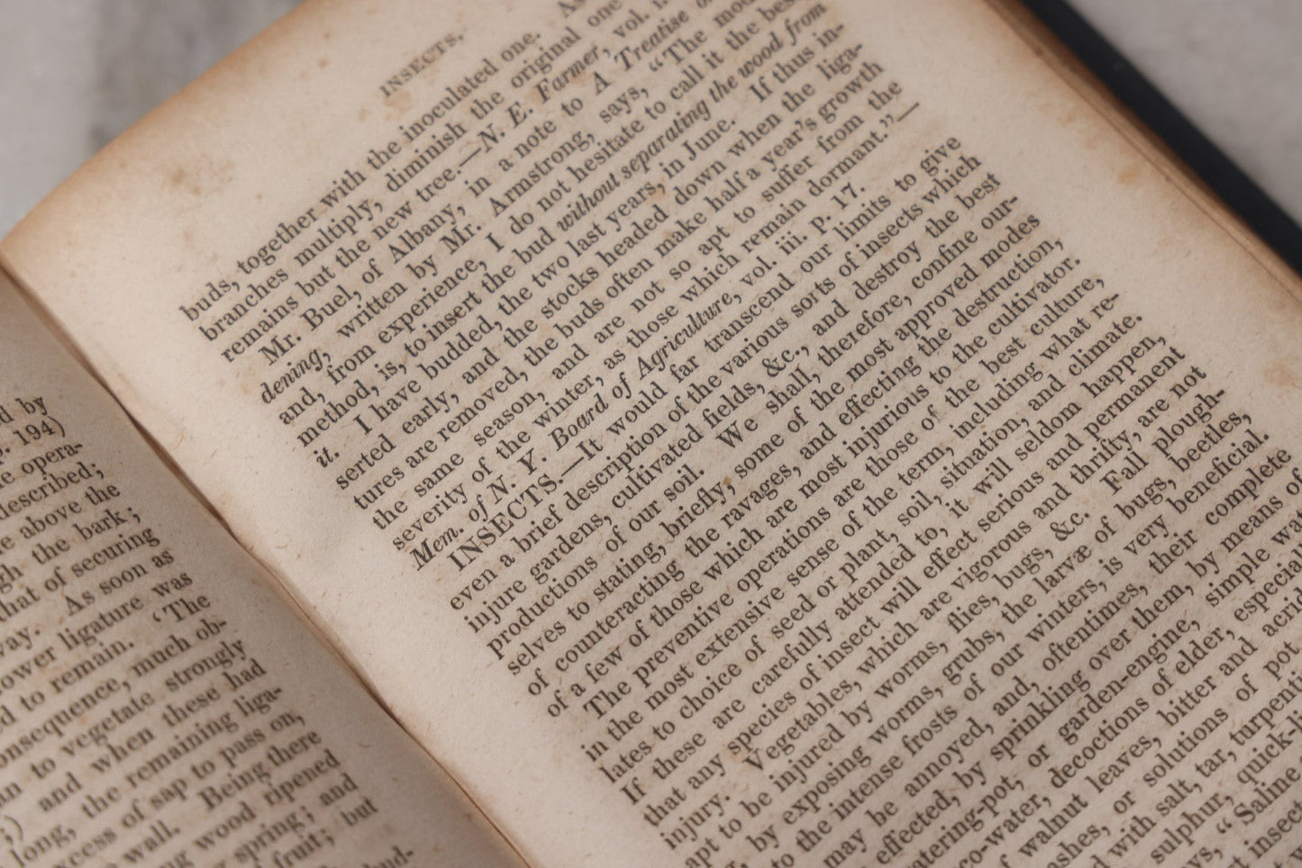 Lot 074 - "The New American Gardener" Antique Agricultural And Horticultural Book By Thomas G. Fessenden, Published By Otis, Broaders & Co., Boston, 1845