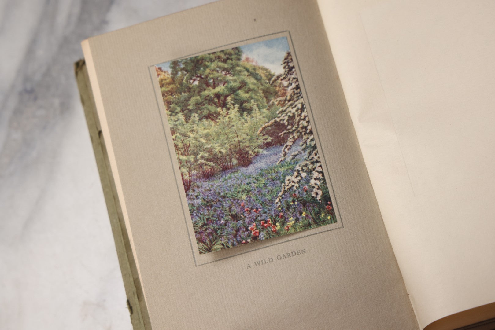 Lot 075 - “A Book Of Old World Gardens” Antique Book Of Gardening Essays Illustrated By Beatrice Parsons, Edited By Alfred H. Hyatt, T. N. Foulis, London & Edinburgh, 1912