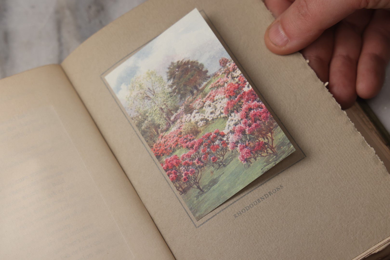 Lot 075 - “A Book Of Old World Gardens” Antique Book Of Gardening Essays Illustrated By Beatrice Parsons, Edited By Alfred H. Hyatt, T. N. Foulis, London & Edinburgh, 1912