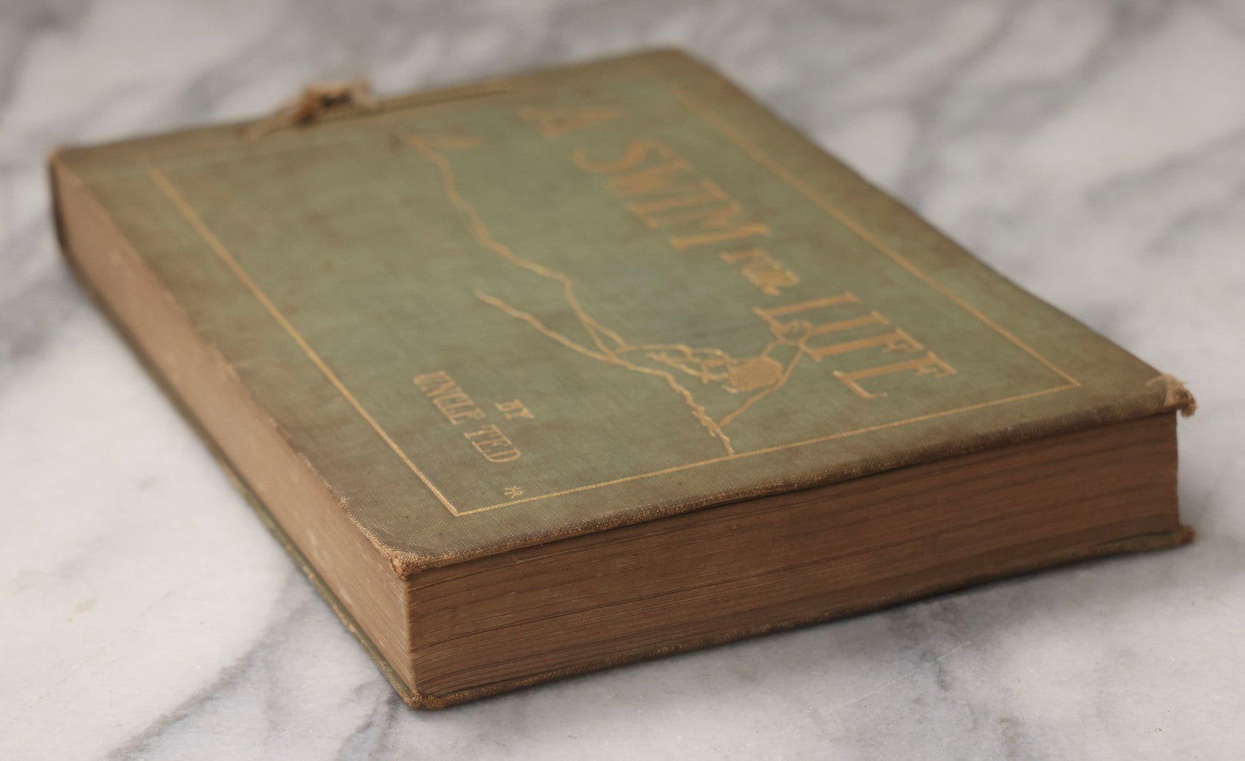 Lot 076 - "A Swim For Life" Antique Limited Edition Illustrated Maritime Adventure Book By "Uncle Ted," Published By Orange Judd Co., New York, 1904