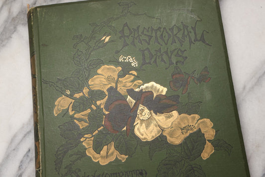 Lot 202 - "Pastoral Days; Or, Memories Of A New England Year" Antique Book By W. Hamilton Gibson, 70+ Engraved Illustrations By The Author, Harper & Brothers, New York, 1881, Craft Grade Condition