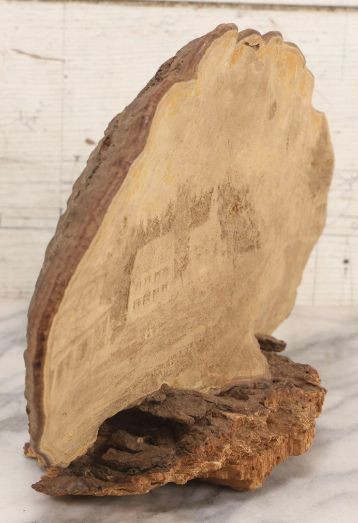 Lot 007 - Antique 19th Century Stipple-Pyrography Mushroom Fungus Art With New England Village Scene On Wooden Branch Base, 10" H