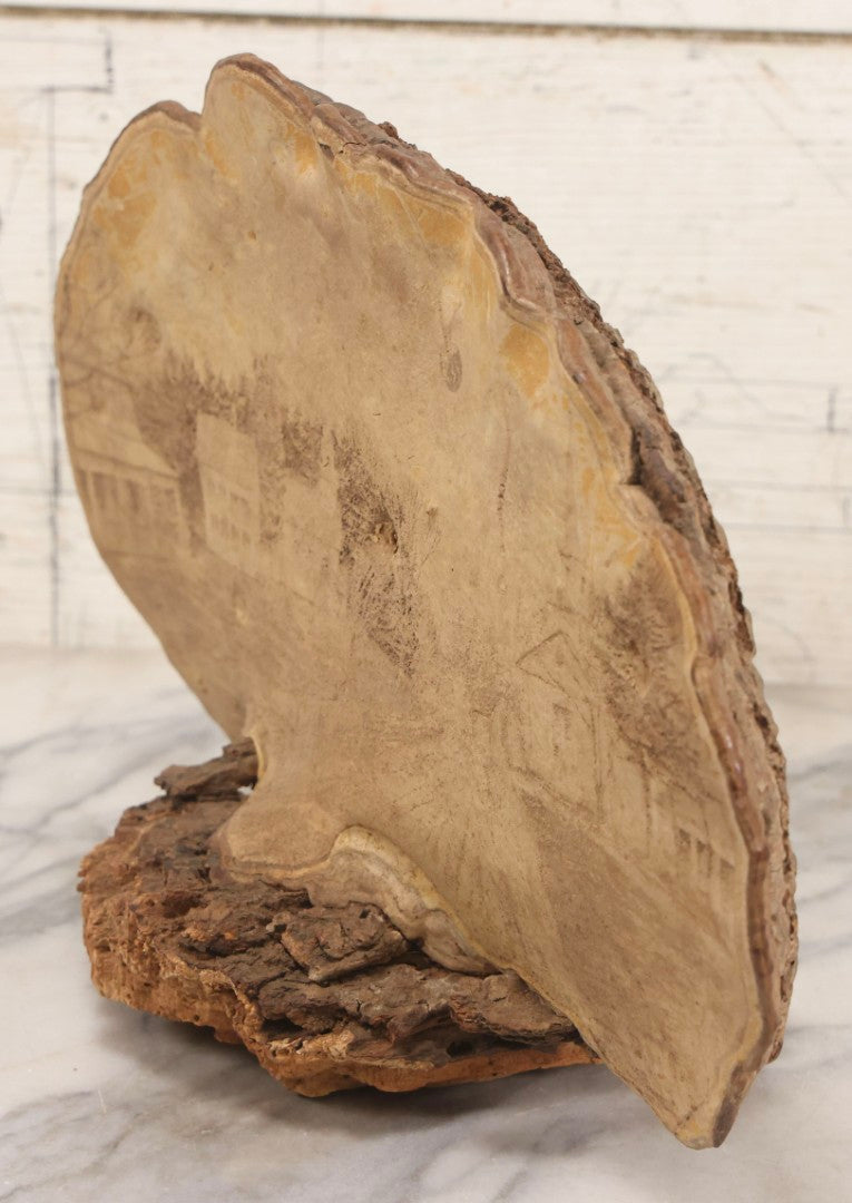 Lot 007 - Antique 19th Century Stipple-Pyrography Mushroom Fungus Art With New England Village Scene On Wooden Branch Base, 10" H