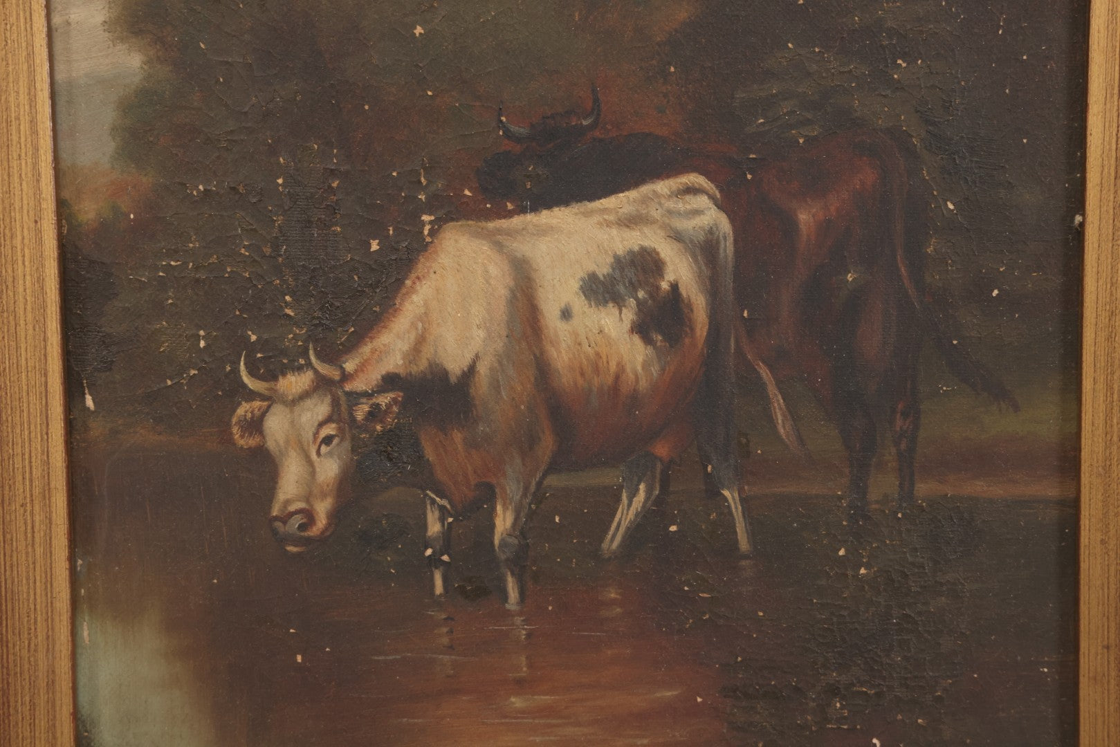 Lot 014 - Antique 19th Century Oil On Canvas Pastoral Scene Of Two Bulls Standing In Pond, Gold Painted Wood Frame, 13-1/2" x 17-5/8"