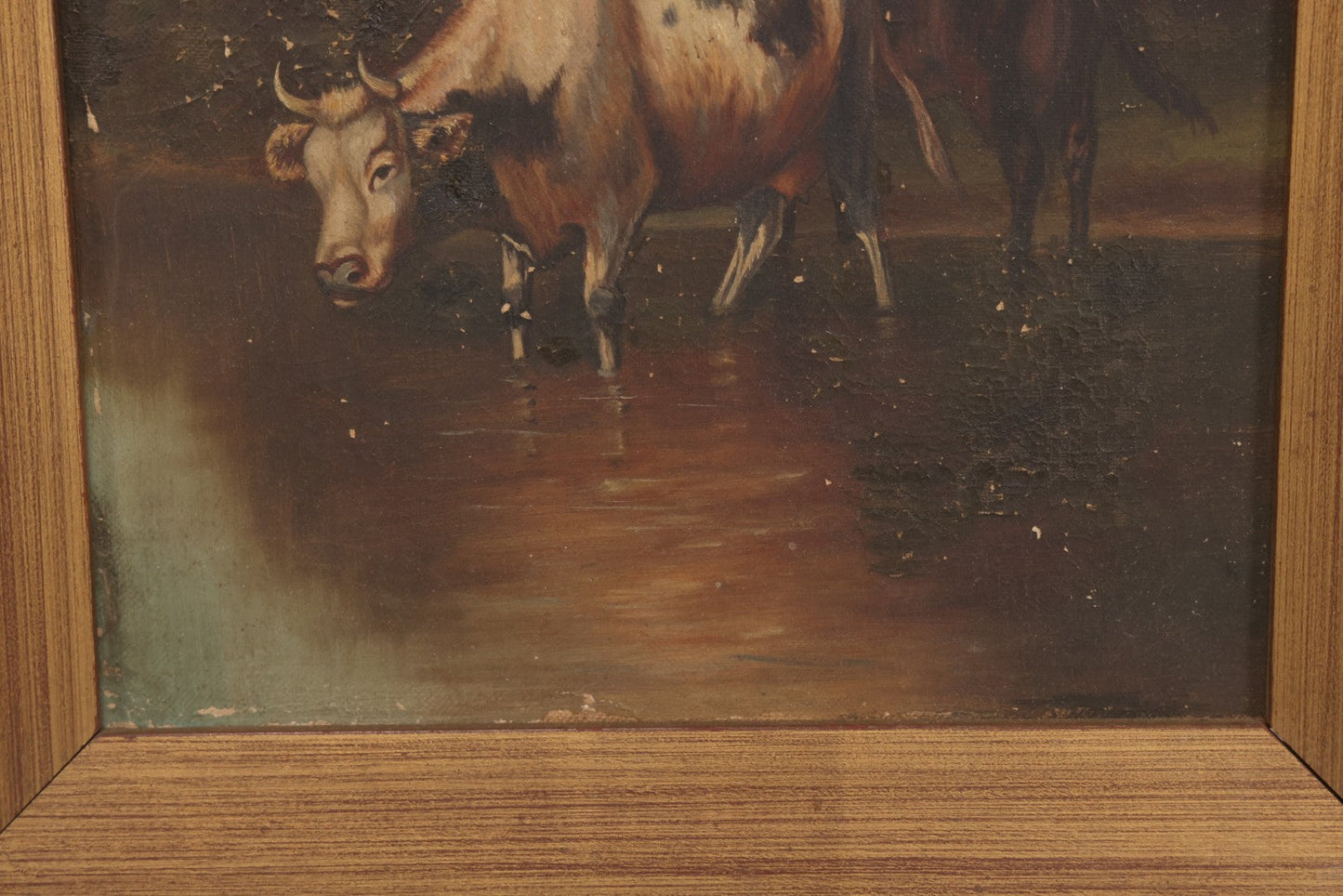 Lot 014 - Antique 19th Century Oil On Canvas Pastoral Scene Of Two Bulls Standing In Pond, Gold Painted Wood Frame, 13-1/2" x 17-5/8"