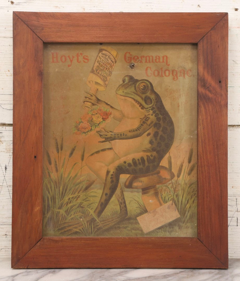 Lot 020 - Antique Hoyt's German Cologne Chromolithograph Advertising With Anthropomorphic Frog Sprinkling Flowers, E. W. Hoyt & Co., Lowell, Massachusetts, In Shadowbox Frame, 13-1/4" x 15-5/8"