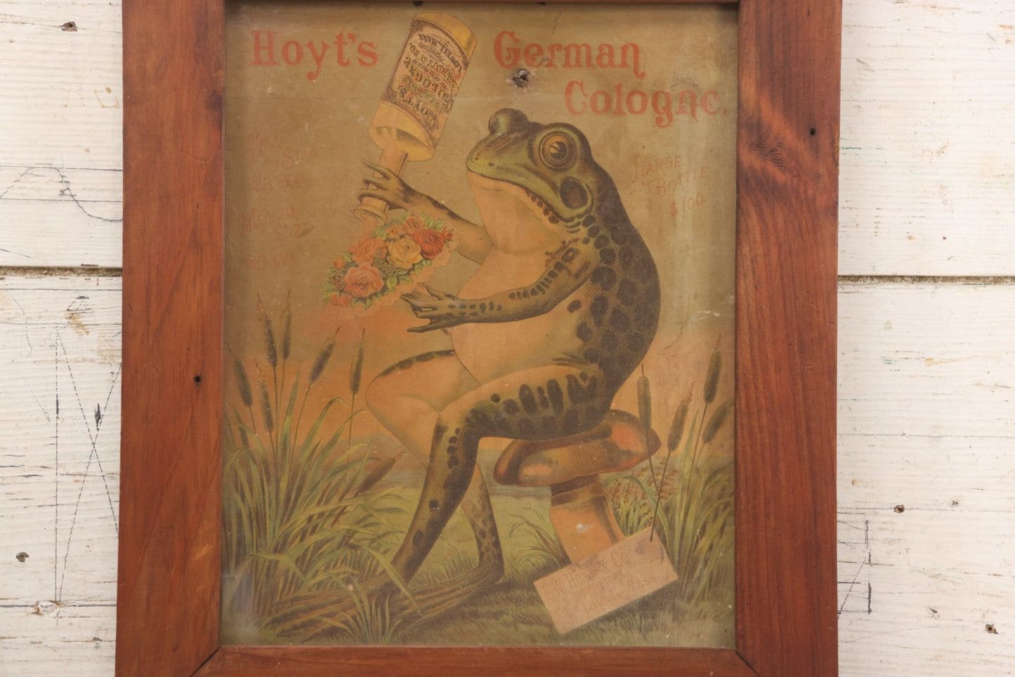 Lot 020 - Antique Hoyt's German Cologne Chromolithograph Advertising With Anthropomorphic Frog Sprinkling Flowers, E. W. Hoyt & Co., Lowell, Massachusetts, In Shadowbox Frame, 13-1/4" x 15-5/8"