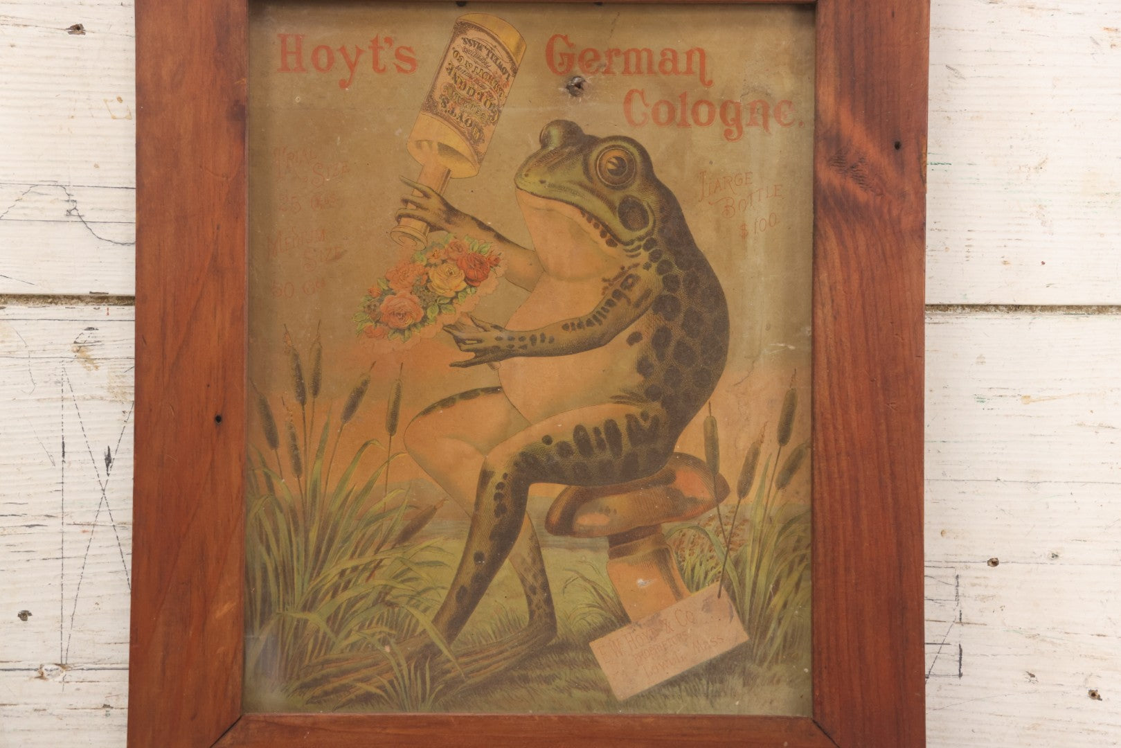 Lot 020 - Antique Hoyt's German Cologne Chromolithograph Advertising With Anthropomorphic Frog Sprinkling Flowers, E. W. Hoyt & Co., Lowell, Massachusetts, In Shadowbox Frame, 13-1/4" x 15-5/8"
