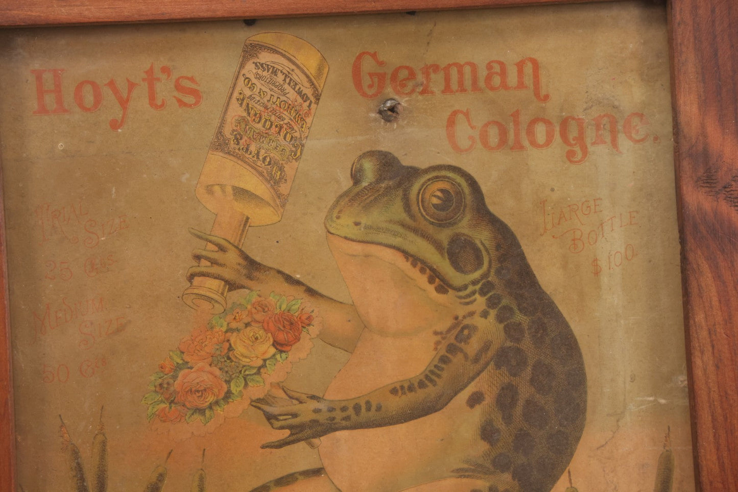 Lot 020 - Antique Hoyt's German Cologne Chromolithograph Advertising With Anthropomorphic Frog Sprinkling Flowers, E. W. Hoyt & Co., Lowell, Massachusetts, In Shadowbox Frame, 13-1/4" x 15-5/8"
