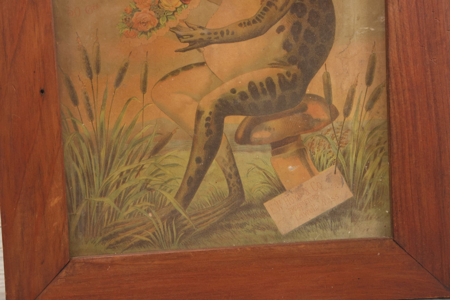 Lot 020 - Antique Hoyt's German Cologne Chromolithograph Advertising With Anthropomorphic Frog Sprinkling Flowers, E. W. Hoyt & Co., Lowell, Massachusetts, In Shadowbox Frame, 13-1/4" x 15-5/8"