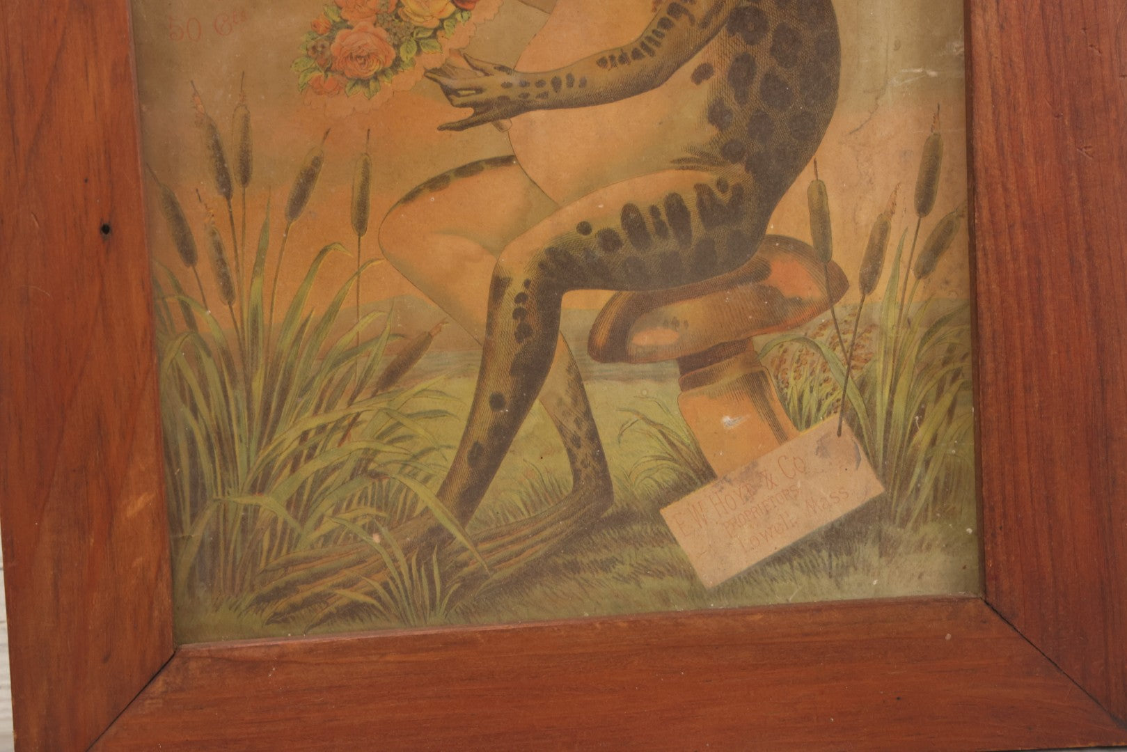 Lot 020 - Antique Hoyt's German Cologne Chromolithograph Advertising With Anthropomorphic Frog Sprinkling Flowers, E. W. Hoyt & Co., Lowell, Massachusetts, In Shadowbox Frame, 13-1/4" x 15-5/8"