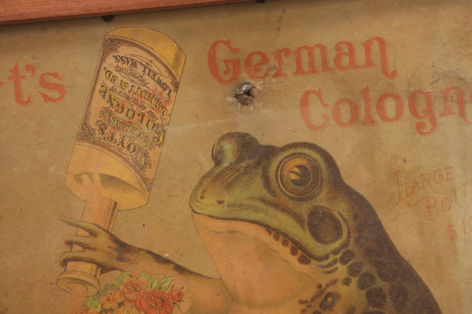 Lot 020 - Antique Hoyt's German Cologne Chromolithograph Advertising With Anthropomorphic Frog Sprinkling Flowers, E. W. Hoyt & Co., Lowell, Massachusetts, In Shadowbox Frame, 13-1/4" x 15-5/8"