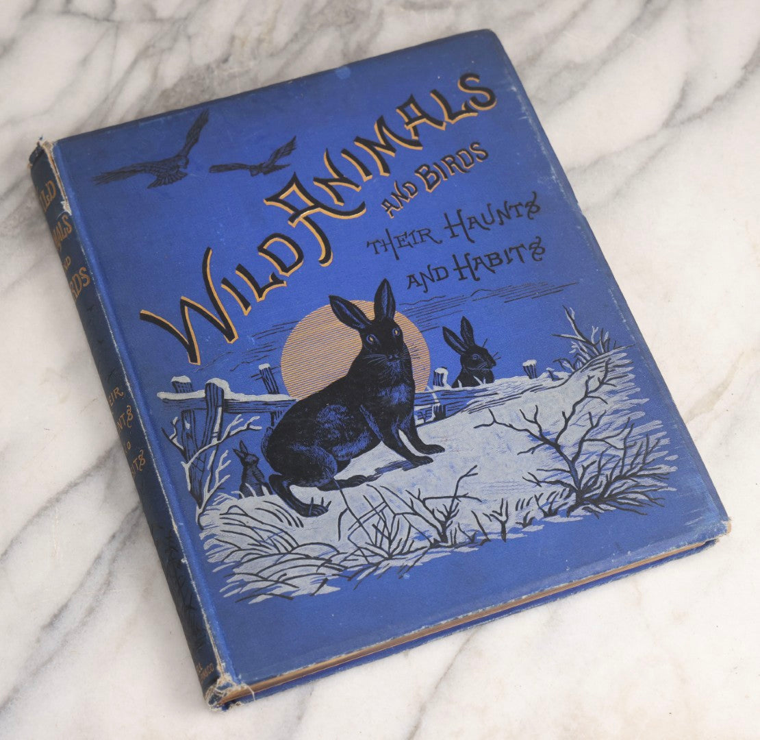 Lot 022 - “Wild Animals And Birds: Their Haunts And Habits” Antique Illustrated Natural History Book By Dr. Andrew Wilson With 40+ Full Plate Engraved Illustrations, Published By Cassell, Petter, Galpin & Co., 1882