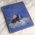 Lot 022 - “Wild Animals And Birds: Their Haunts And Habits” Antique Illustrated Natural History Book By Dr. Andrew Wilson With 40+ Full Plate Engraved Illustrations, Published By Cassell, Petter, Galpin & Co., 1882