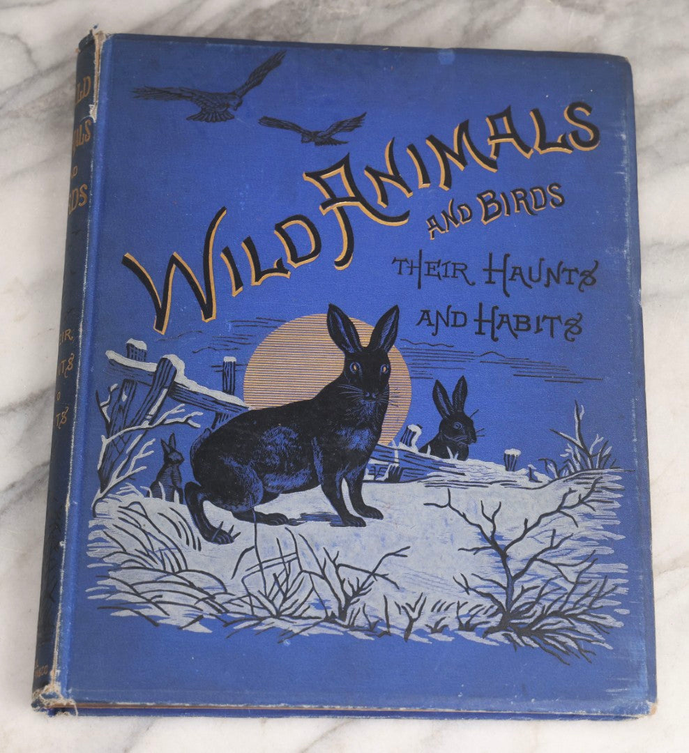 Lot 022 - “Wild Animals And Birds: Their Haunts And Habits” Antique Illustrated Natural History Book By Dr. Andrew Wilson With 40+ Full Plate Engraved Illustrations, Published By Cassell, Petter, Galpin & Co., 1882