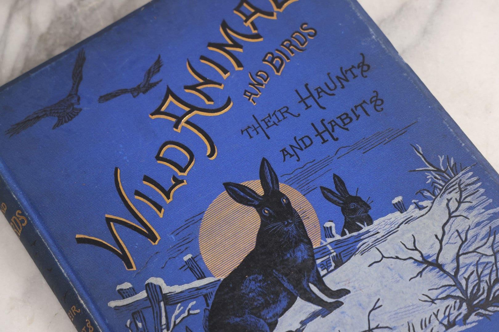 Lot 022 - “Wild Animals And Birds: Their Haunts And Habits” Antique Illustrated Natural History Book By Dr. Andrew Wilson With 40+ Full Plate Engraved Illustrations, Published By Cassell, Petter, Galpin & Co., 1882