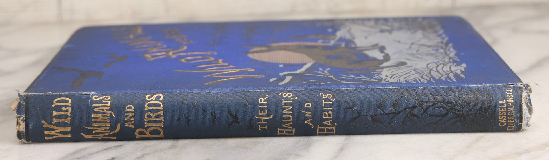 Lot 022 - “Wild Animals And Birds: Their Haunts And Habits” Antique Illustrated Natural History Book By Dr. Andrew Wilson With 40+ Full Plate Engraved Illustrations, Published By Cassell, Petter, Galpin & Co., 1882