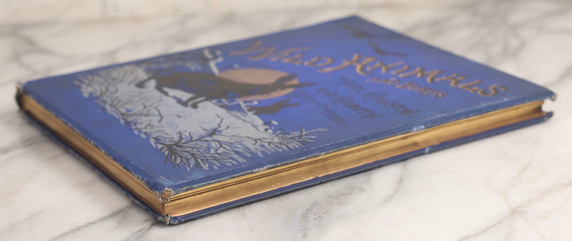 Lot 022 - “Wild Animals And Birds: Their Haunts And Habits” Antique Illustrated Natural History Book By Dr. Andrew Wilson With 40+ Full Plate Engraved Illustrations, Published By Cassell, Petter, Galpin & Co., 1882