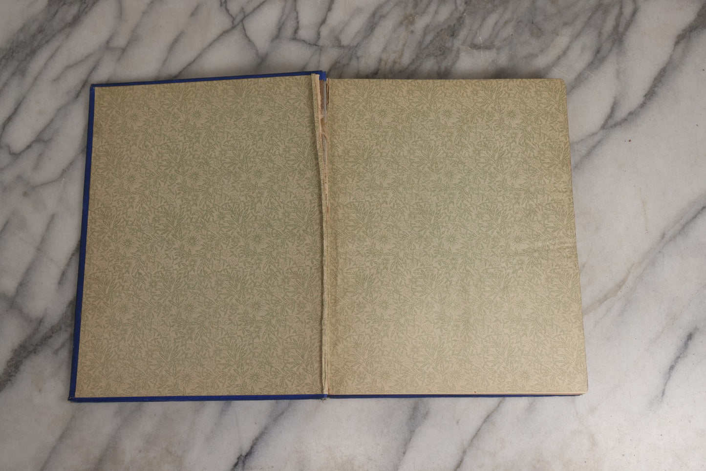 Lot 022 - “Wild Animals And Birds: Their Haunts And Habits” Antique Illustrated Natural History Book By Dr. Andrew Wilson With 40+ Full Plate Engraved Illustrations, Published By Cassell, Petter, Galpin & Co., 1882