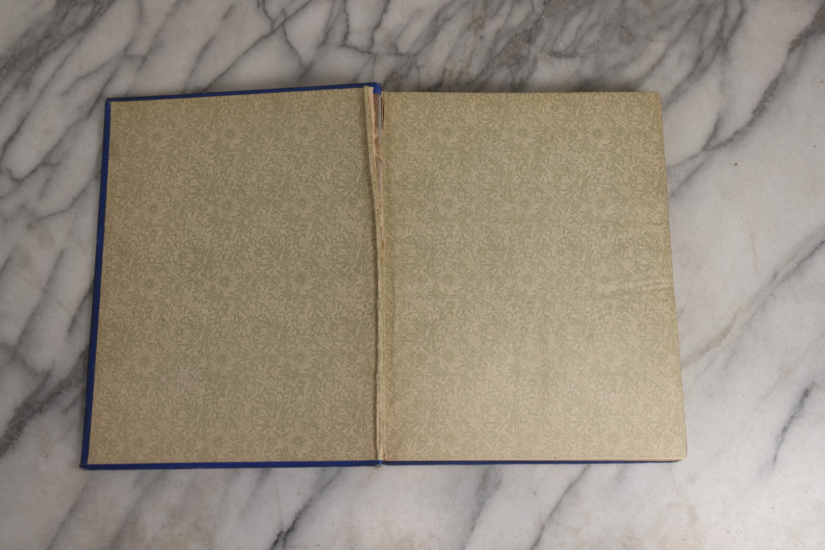 Lot 022 - “Wild Animals And Birds: Their Haunts And Habits” Antique Illustrated Natural History Book By Dr. Andrew Wilson With 40+ Full Plate Engraved Illustrations, Published By Cassell, Petter, Galpin & Co., 1882