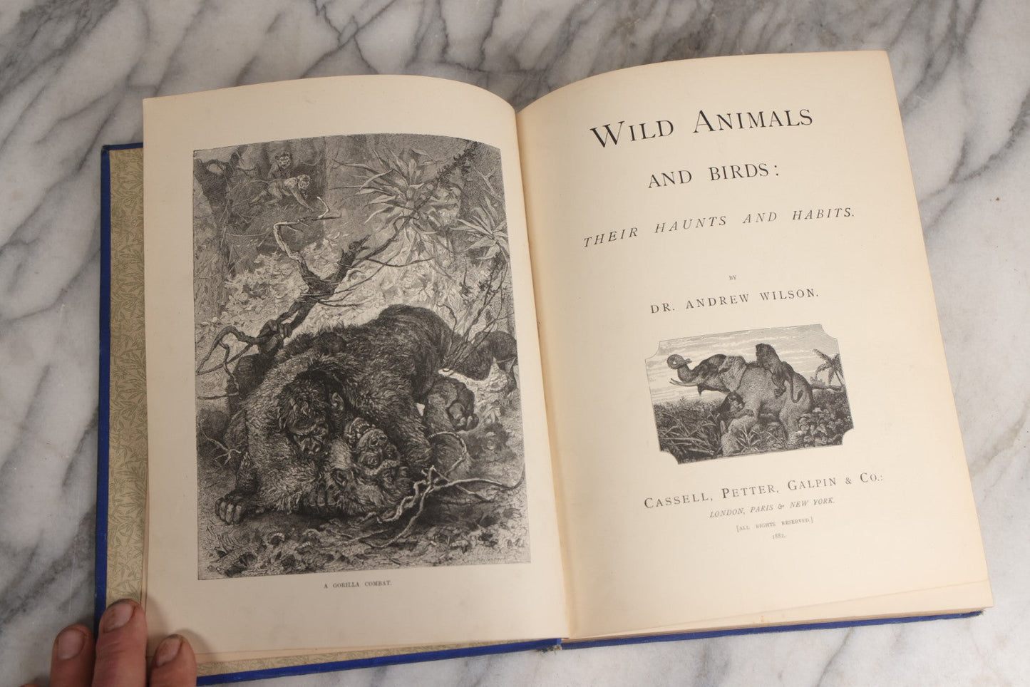 Lot 022 - “Wild Animals And Birds: Their Haunts And Habits” Antique Illustrated Natural History Book By Dr. Andrew Wilson With 40+ Full Plate Engraved Illustrations, Published By Cassell, Petter, Galpin & Co., 1882