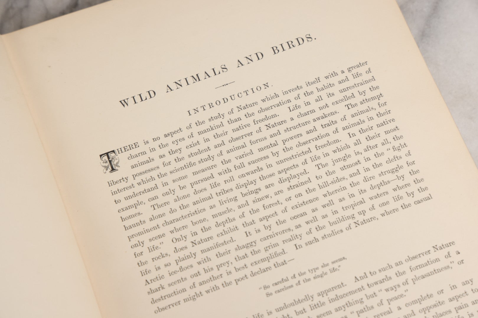 Lot 022 - “Wild Animals And Birds: Their Haunts And Habits” Antique Illustrated Natural History Book By Dr. Andrew Wilson With 40+ Full Plate Engraved Illustrations, Published By Cassell, Petter, Galpin & Co., 1882
