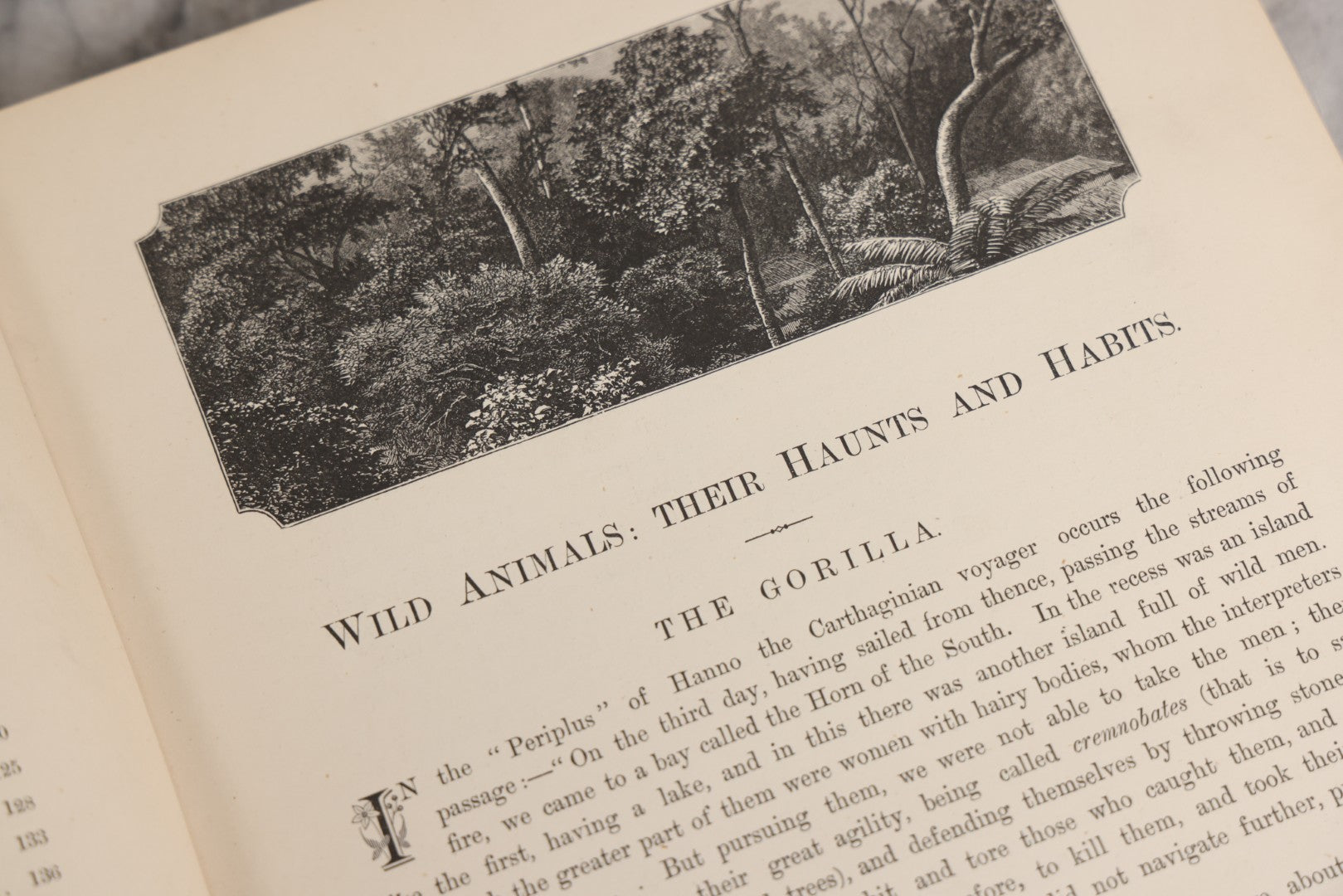Lot 022 - “Wild Animals And Birds: Their Haunts And Habits” Antique Illustrated Natural History Book By Dr. Andrew Wilson With 40+ Full Plate Engraved Illustrations, Published By Cassell, Petter, Galpin & Co., 1882