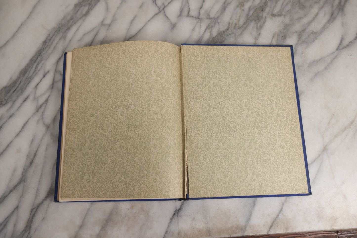 Lot 022 - “Wild Animals And Birds: Their Haunts And Habits” Antique Illustrated Natural History Book By Dr. Andrew Wilson With 40+ Full Plate Engraved Illustrations, Published By Cassell, Petter, Galpin & Co., 1882