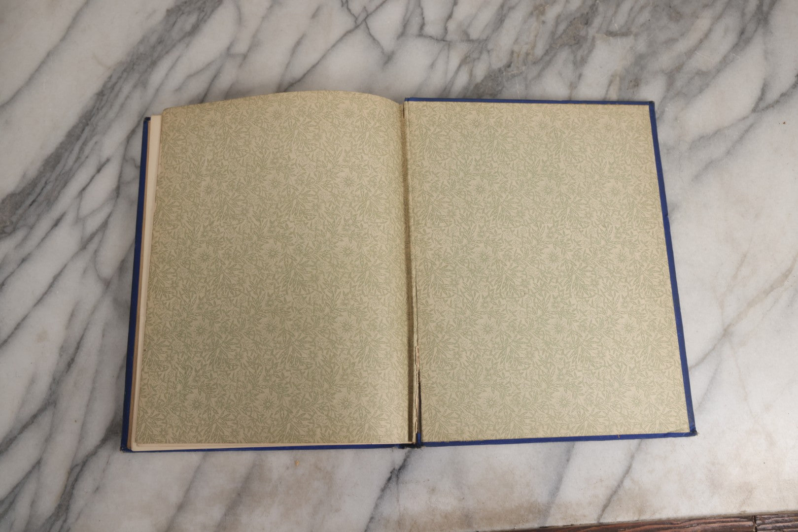 Lot 022 - “Wild Animals And Birds: Their Haunts And Habits” Antique Illustrated Natural History Book By Dr. Andrew Wilson With 40+ Full Plate Engraved Illustrations, Published By Cassell, Petter, Galpin & Co., 1882