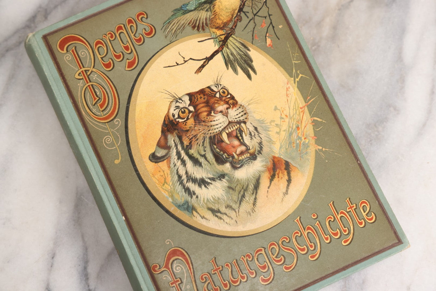 Lot 023 - “Berges Naturgeschichte” Antique Natural History Book By Friedr. Berge With Engraved And Color Plate Animal Illustrations, Undated (Foreword 1897)