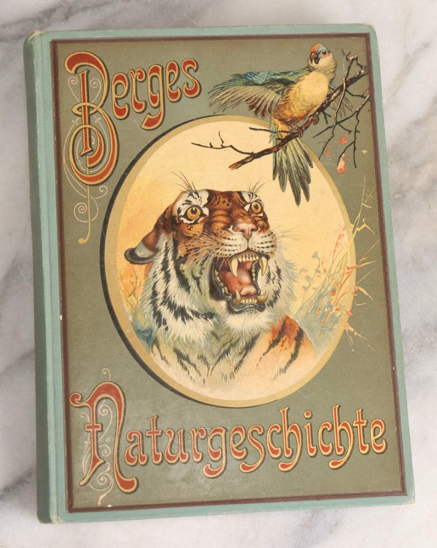 Lot 023 - “Berges Naturgeschichte” Antique Natural History Book By Friedr. Berge With Engraved And Color Plate Animal Illustrations, Undated (Foreword 1897)