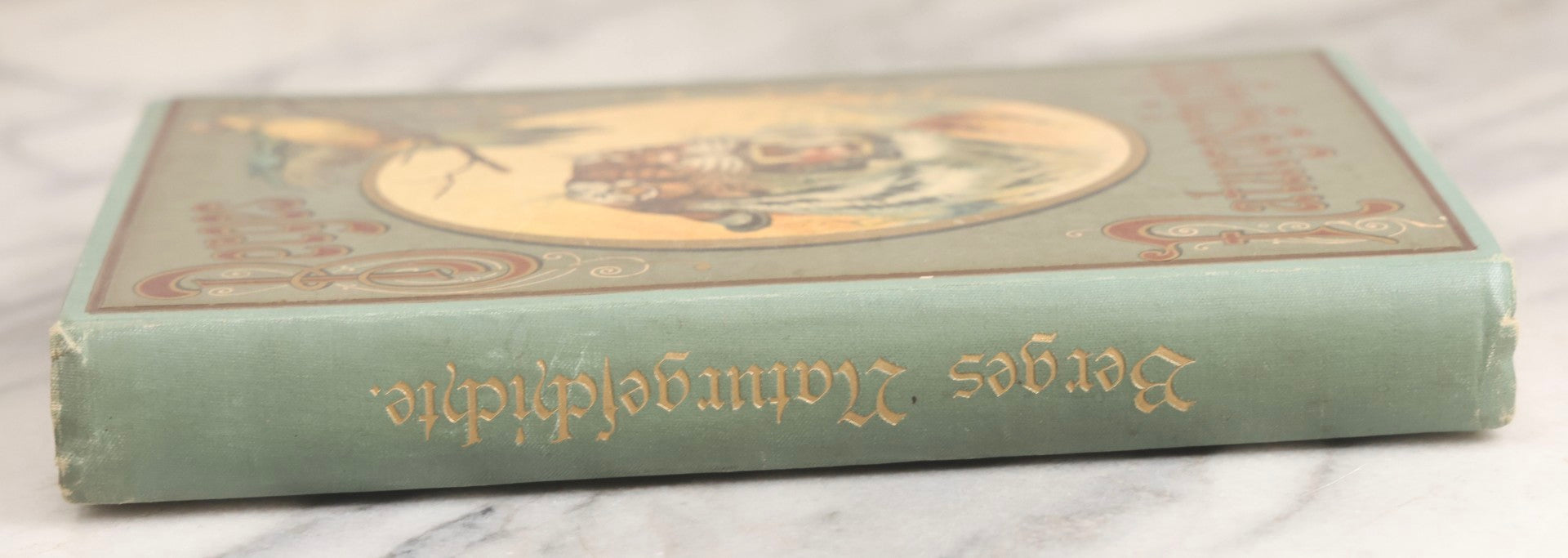 Lot 023 - “Berges Naturgeschichte” Antique Natural History Book By Friedr. Berge With Engraved And Color Plate Animal Illustrations, Undated (Foreword 1897)