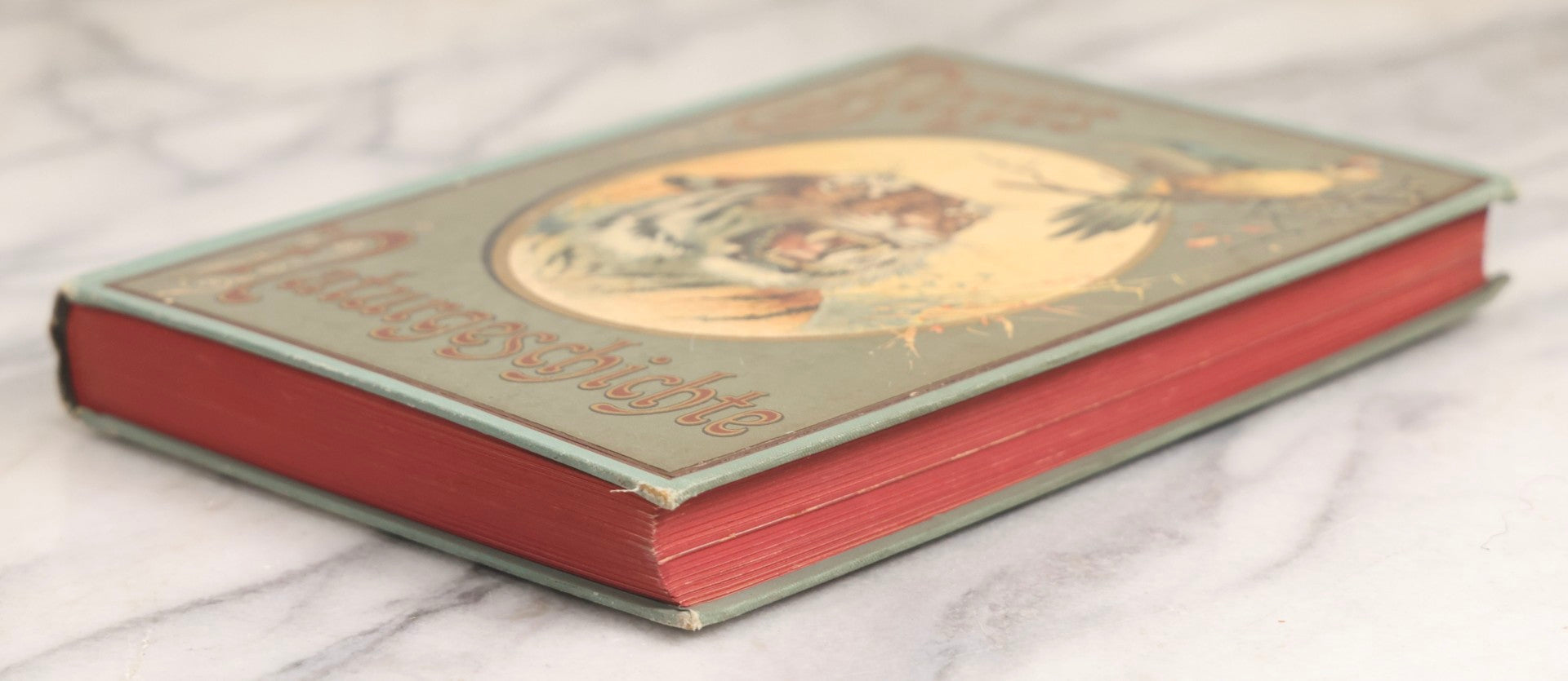 Lot 023 - “Berges Naturgeschichte” Antique Natural History Book By Friedr. Berge With Engraved And Color Plate Animal Illustrations, Undated (Foreword 1897)