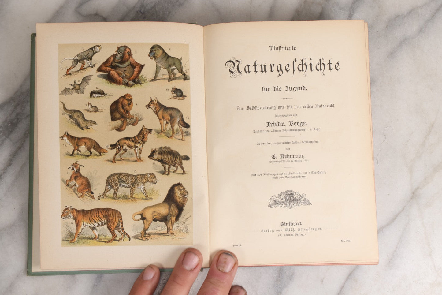 Lot 023 - “Berges Naturgeschichte” Antique Natural History Book By Friedr. Berge With Engraved And Color Plate Animal Illustrations, Undated (Foreword 1897)