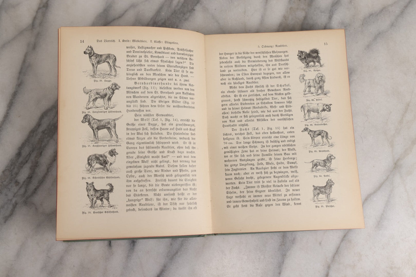 Lot 023 - “Berges Naturgeschichte” Antique Natural History Book By Friedr. Berge With Engraved And Color Plate Animal Illustrations, Undated (Foreword 1897)