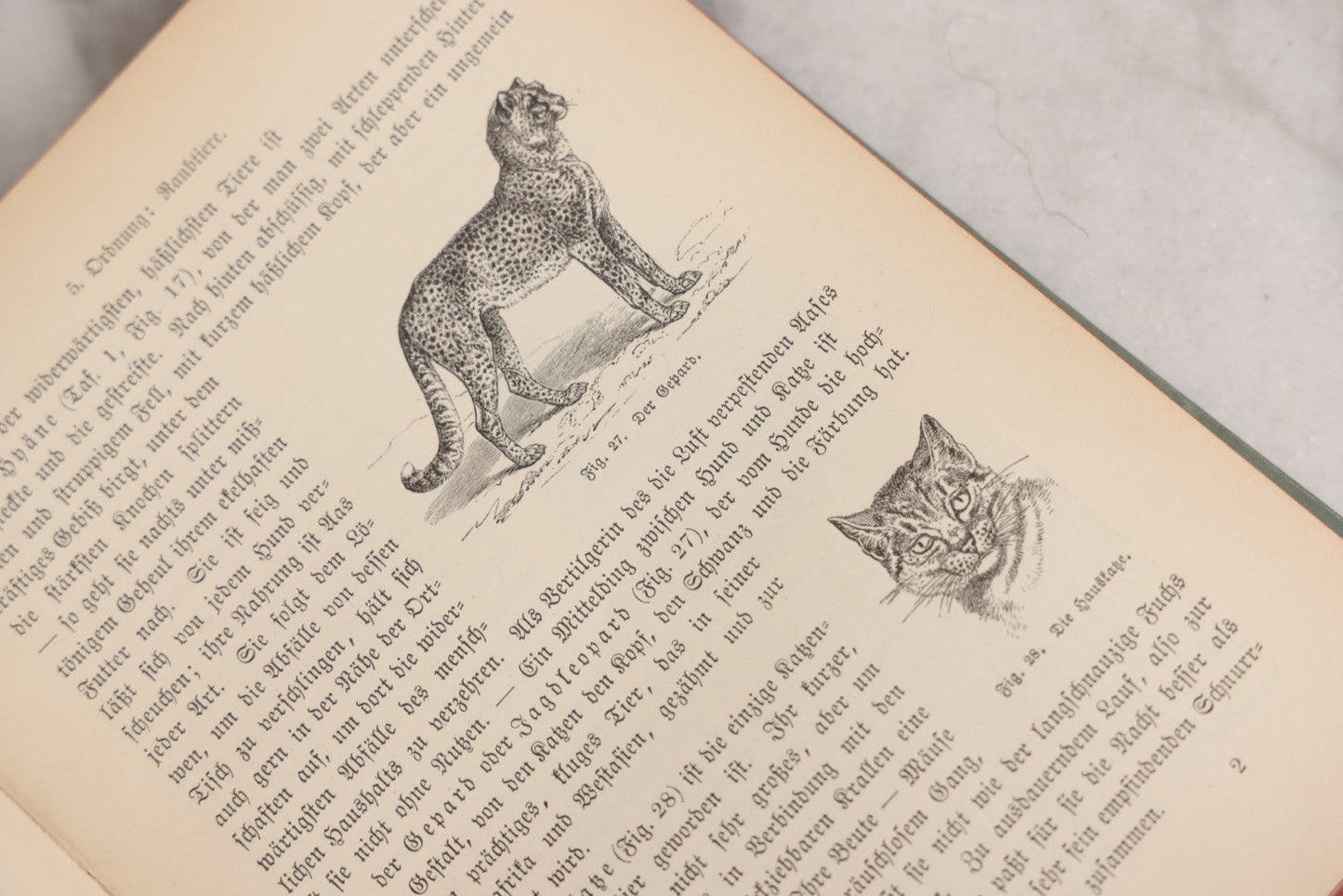 Lot 023 - “Berges Naturgeschichte” Antique Natural History Book By Friedr. Berge With Engraved And Color Plate Animal Illustrations, Undated (Foreword 1897)