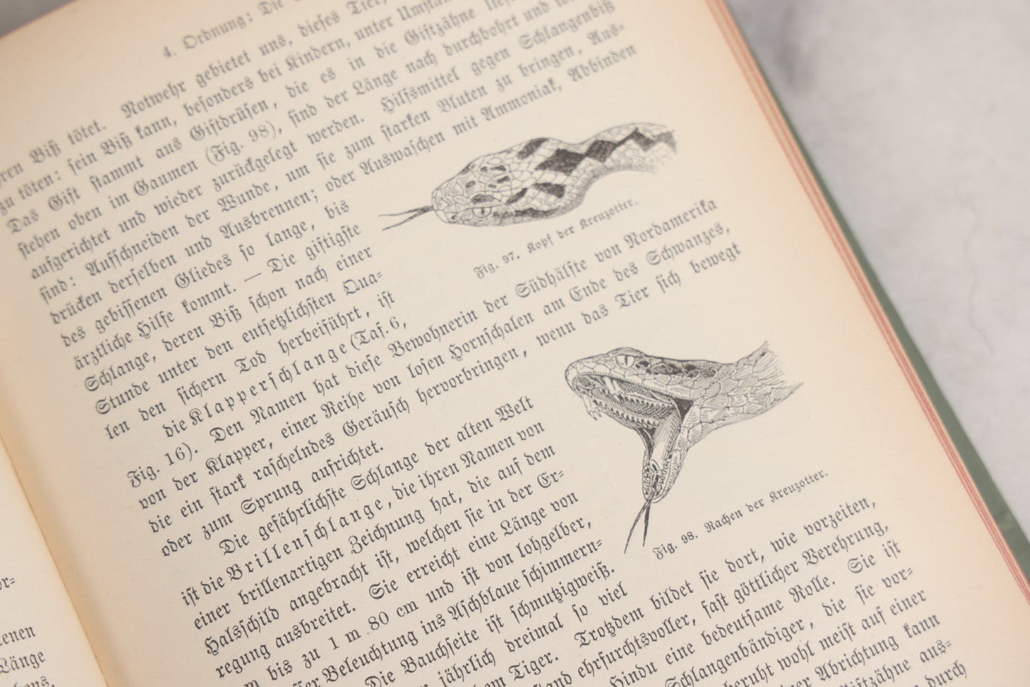 Lot 023 - “Berges Naturgeschichte” Antique Natural History Book By Friedr. Berge With Engraved And Color Plate Animal Illustrations, Undated (Foreword 1897)