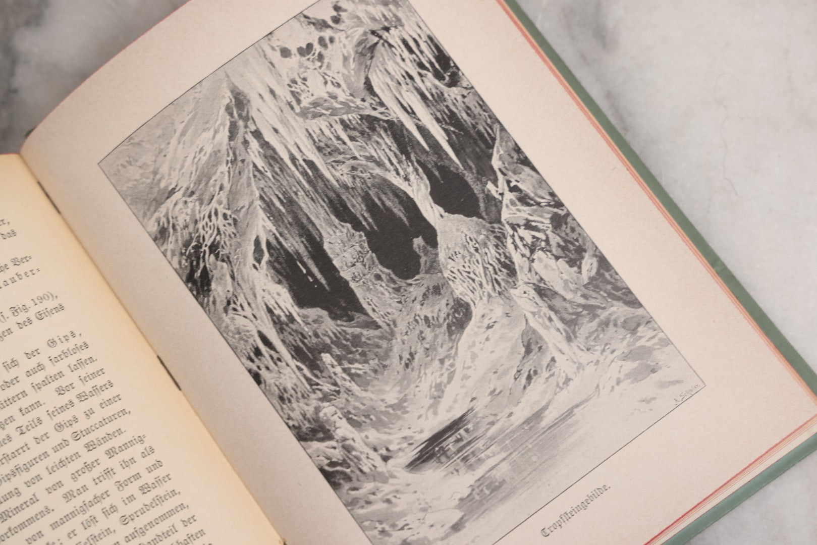 Lot 023 - “Berges Naturgeschichte” Antique Natural History Book By Friedr. Berge With Engraved And Color Plate Animal Illustrations, Undated (Foreword 1897)